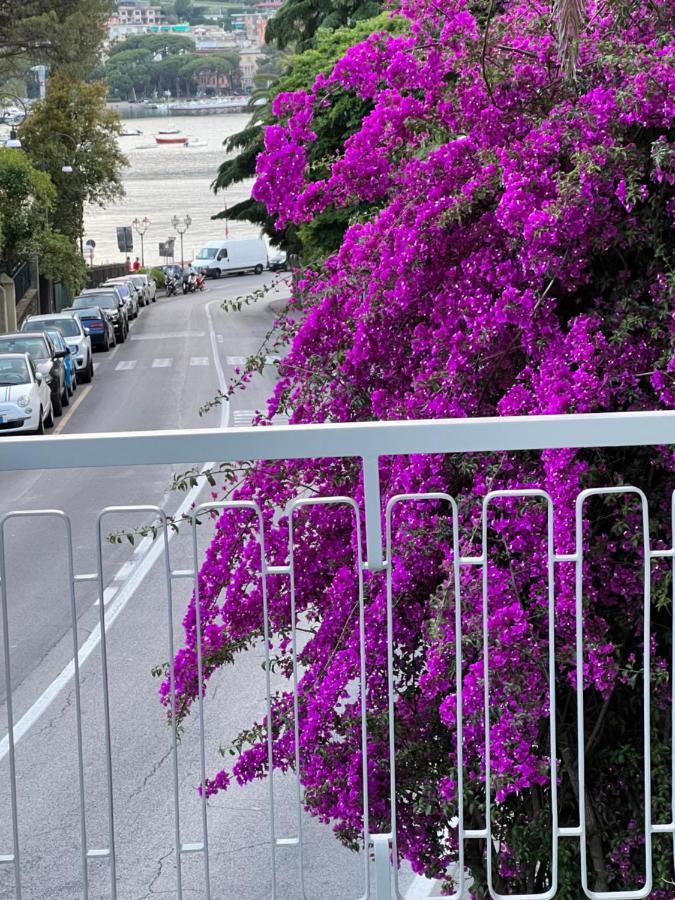 Welcome Riviera -Torre D'Avorio Appartamento 126 Mq Piu'Terrazzo25 Mq - Totalmente Rinnovato- 250 M Dal Centro - Parcheggio A Pagamento 15 Euro Al Giorno Da Prenotare In Anticipo Salvo Dispo -Parking At 15 Euro Per Day To Be Booked In Advance If Avai Rapallo Bagian luar foto